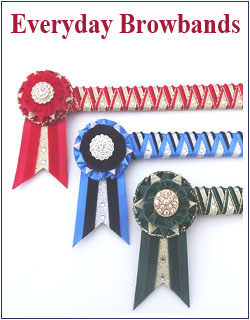 existing order upgrades & special orders Cornerstone browbands 